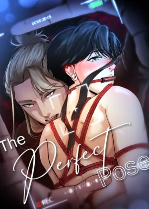 The Perfect Pose Thumbnail